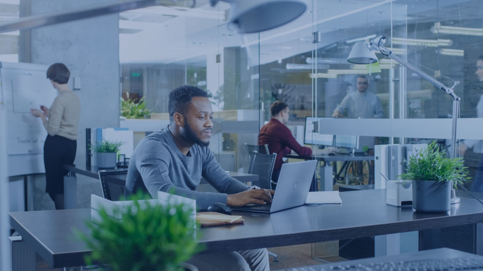 Why Service Matters When Choosing a Fiber Network Provider